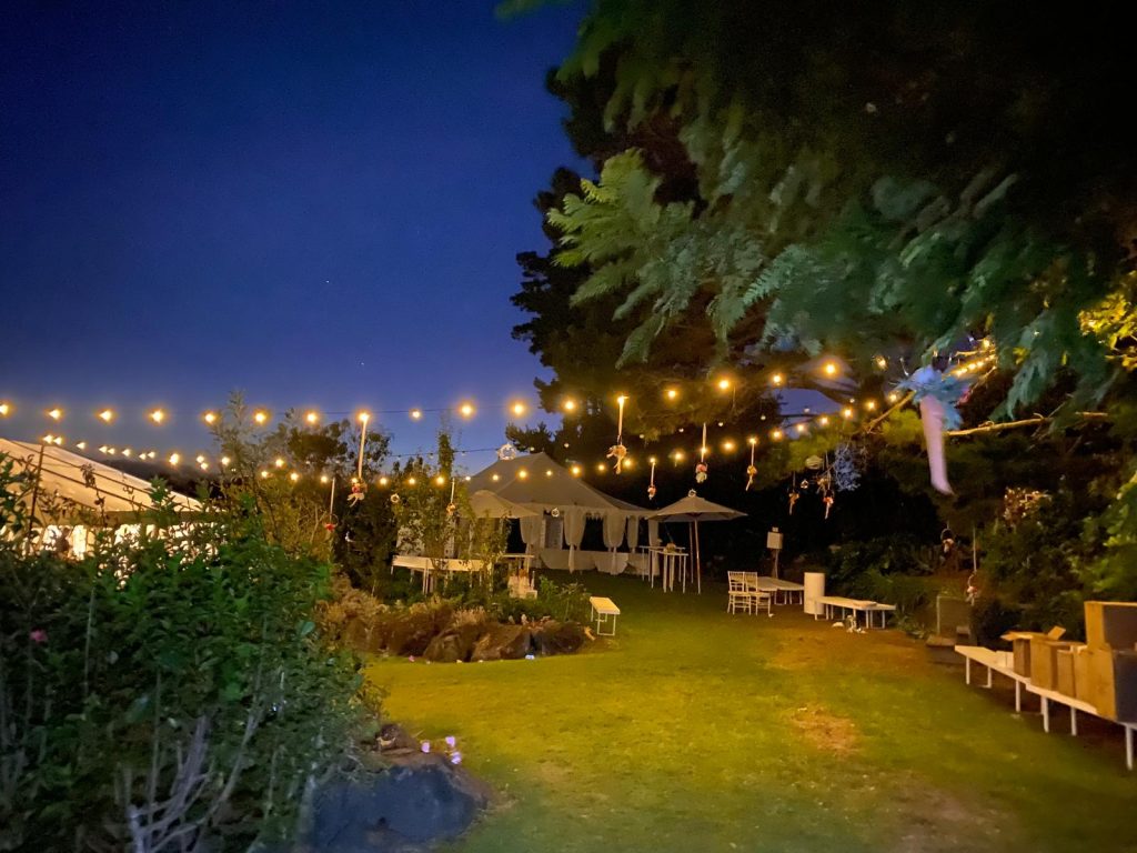 Outdoor Night Festoon